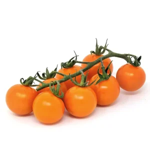 Cherry Orange Tomato