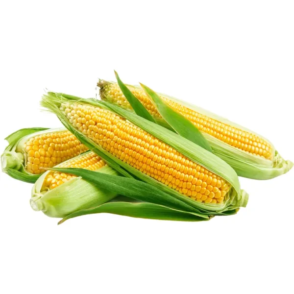 Corn