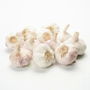 Garlic