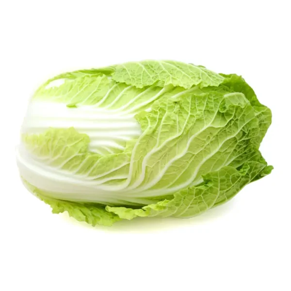 Nappa Cabbage