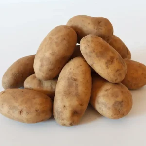 Russet Potato