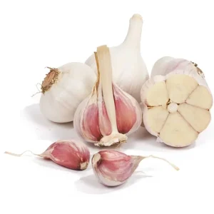 Russian Garlic