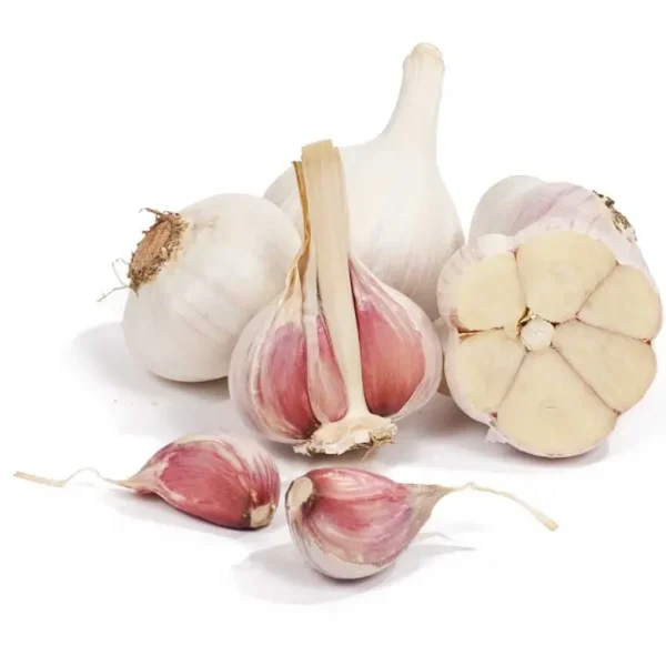 Russian Garlic