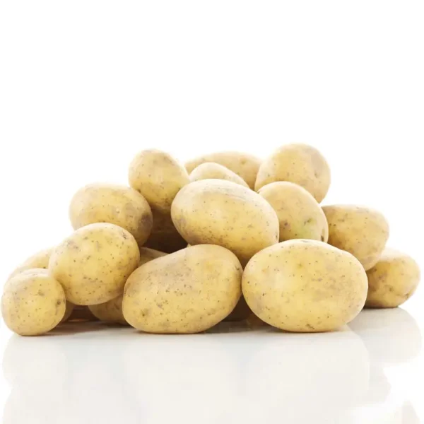 Potato